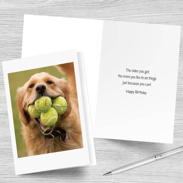 Northern Exposure - Wholesale Birthday Card - Tennis Dog Happy Birthday Greeting Card2