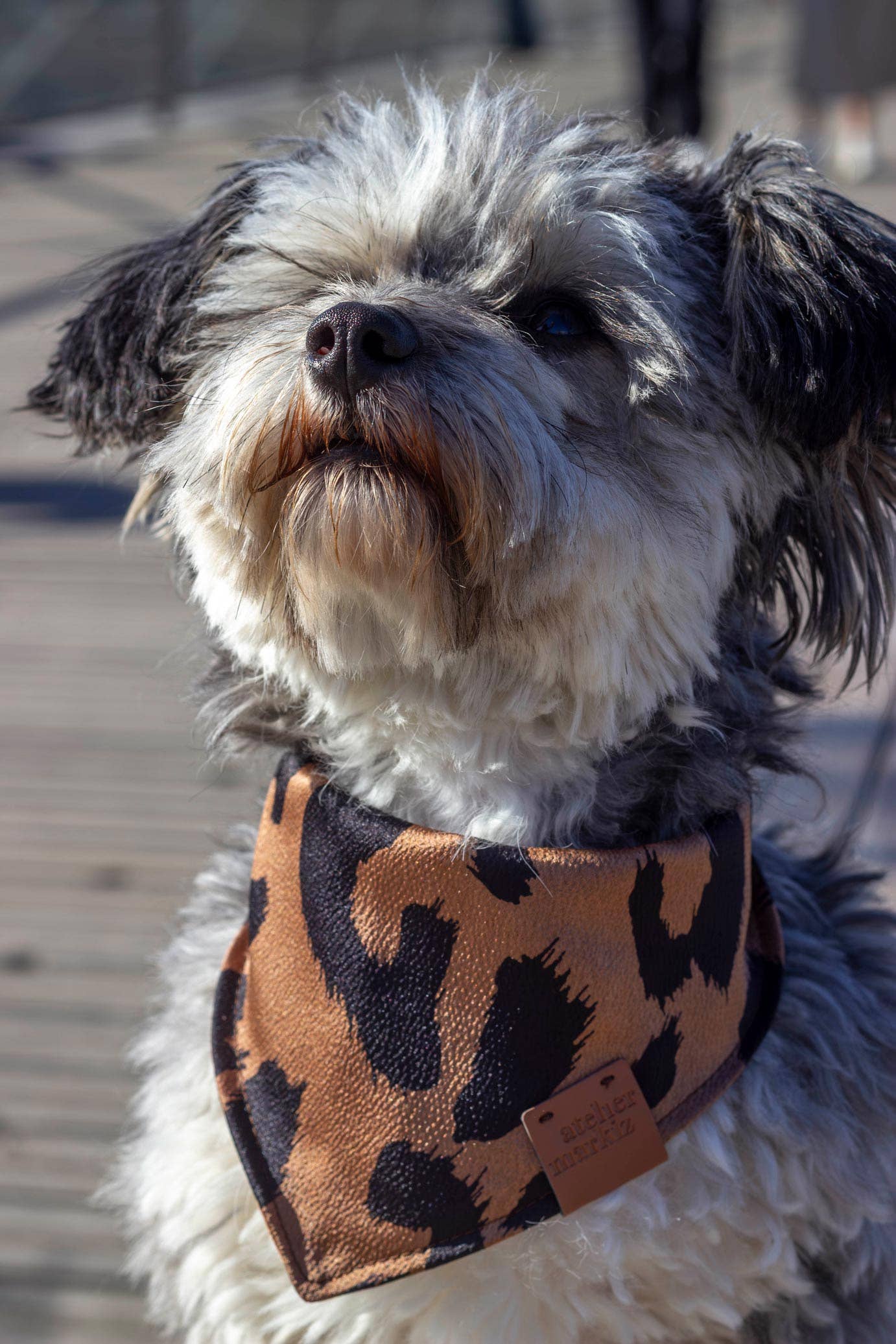 Atelier Markiz - Wholesale Pet Bandana - Dog - Bandana Wild3