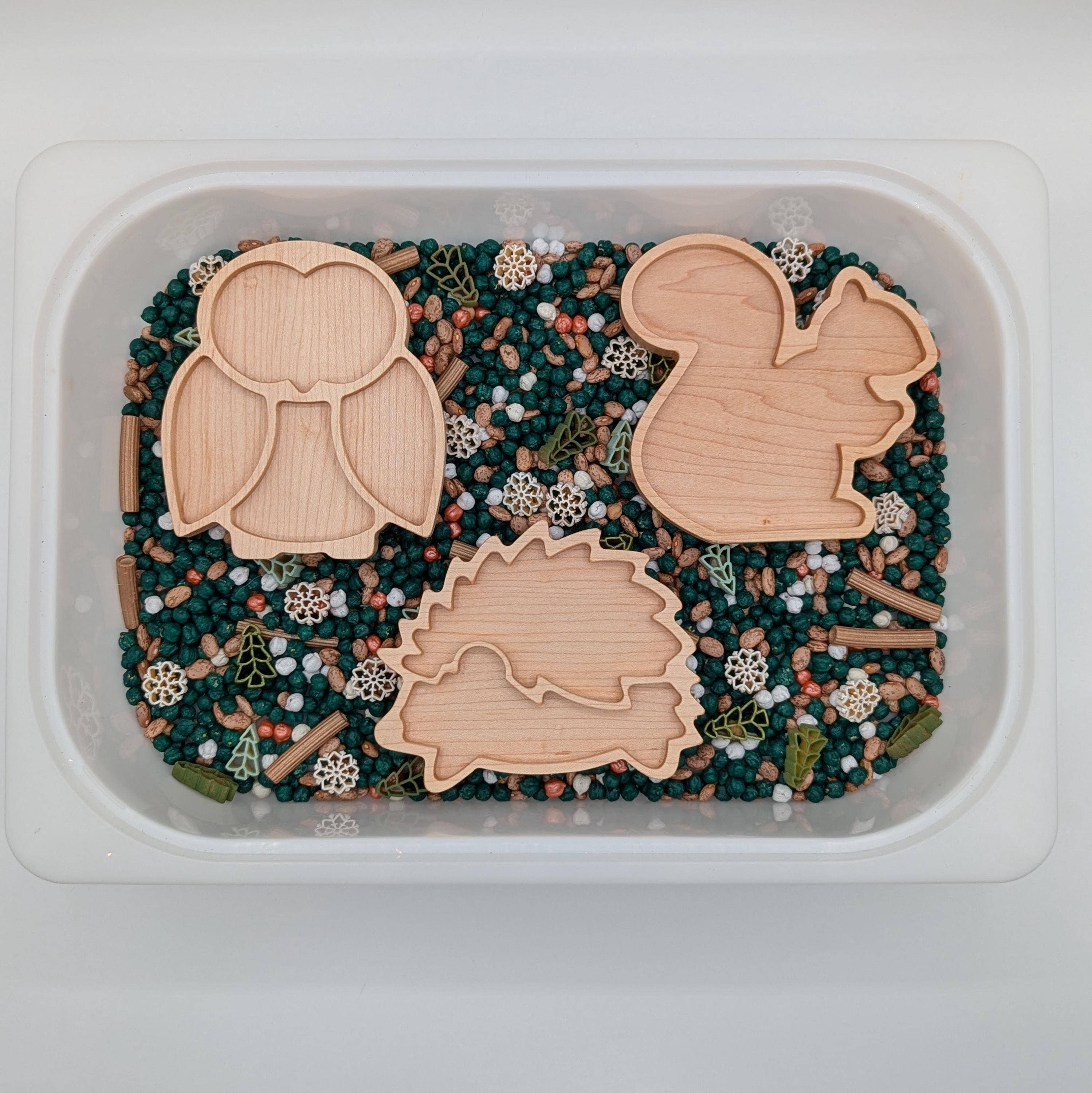 Carved Together Co – Brinquedo de madeira - Crianças por atacado – Tabuleiro Sensorial Mini Esquilo1