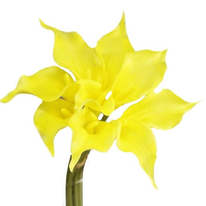 Angel Isabella - Venta al por mayor Flores artificiales - Lirio de cala falso de floración larga de 16" ultra suave y realista