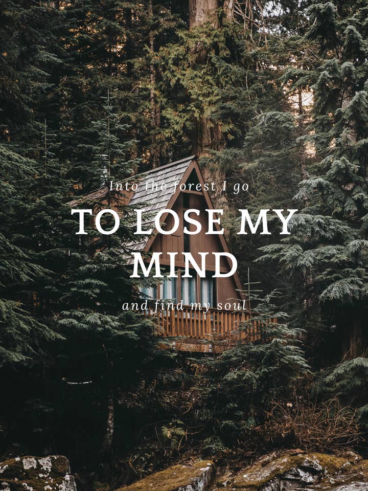 Ekologiskt vykort (återvunnet papper) in i skogen för wholesale av Mookstories