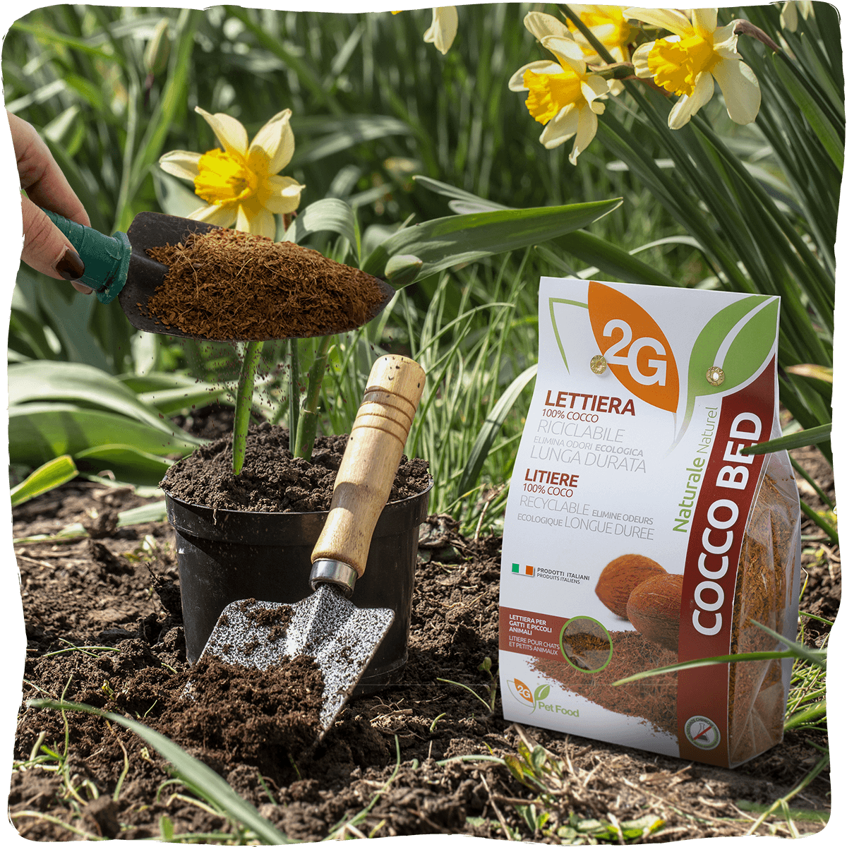 2G Pet Food, Equisnack, Equibar, Guidolin Gianni - Wholesale Pet Bed - Cat/Dog - Cocco Bed | Vegetable litter for cats, rabbits, and reptiles5