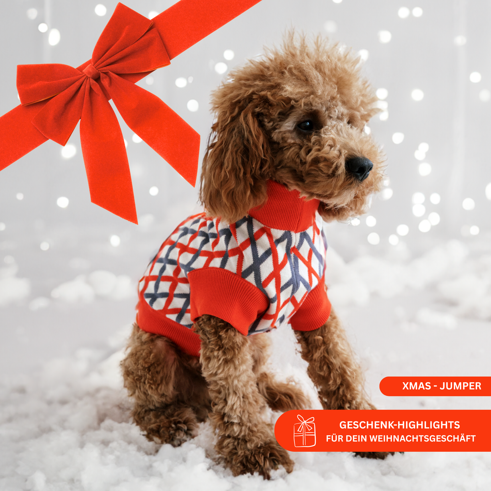 lumiies - high visibility - Wholesale Hondentrui - Hond - DE COTTONEN TRUI (Kersteditie)1