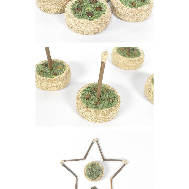 CATWANT - Wholesale Pet Toy - Cat - Silvervine Birthday Cake