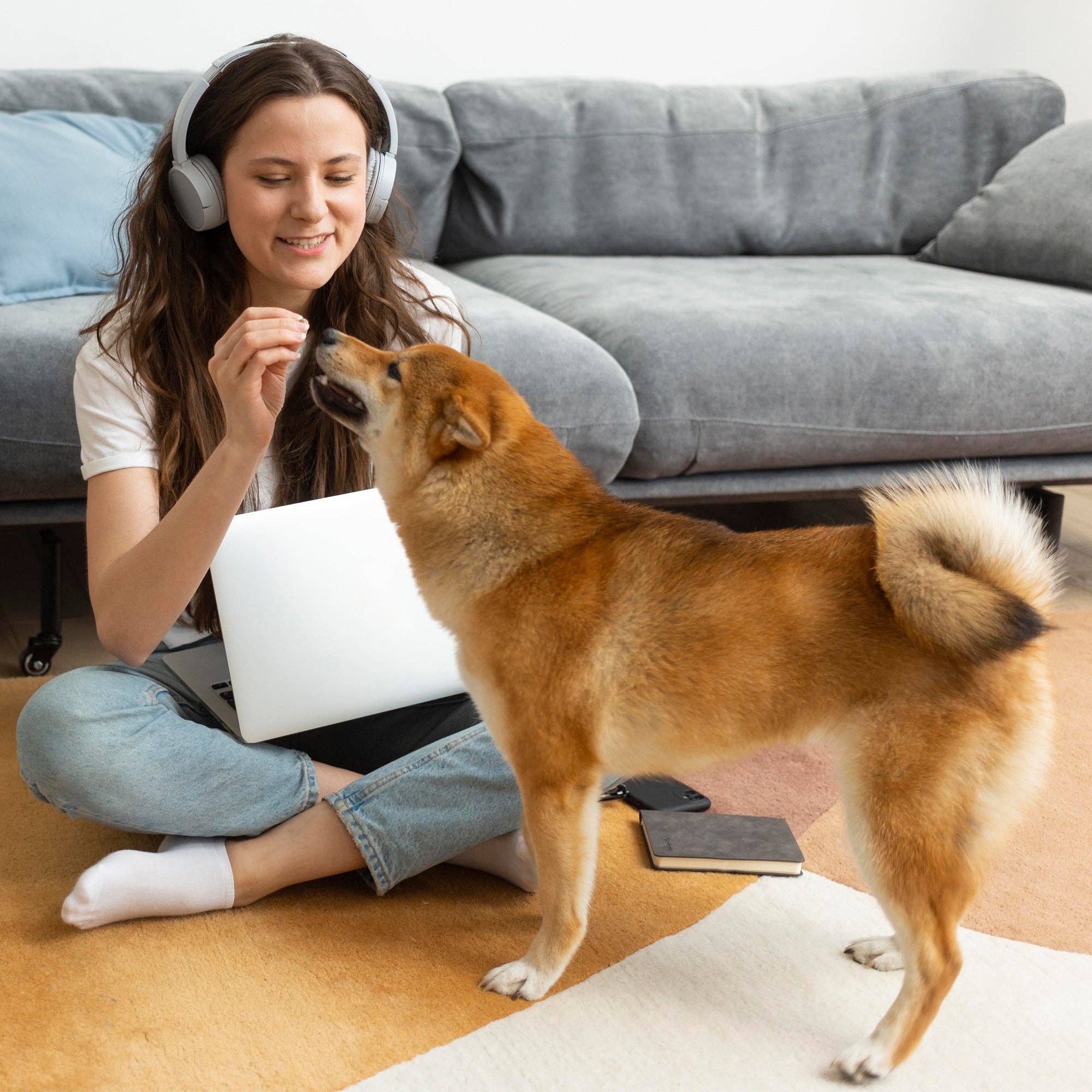 Dogline - Vente Compléments alimentaires – chien - Breath Aid à la cannelle pour chiens en pot de 9 oz (120 unités)4