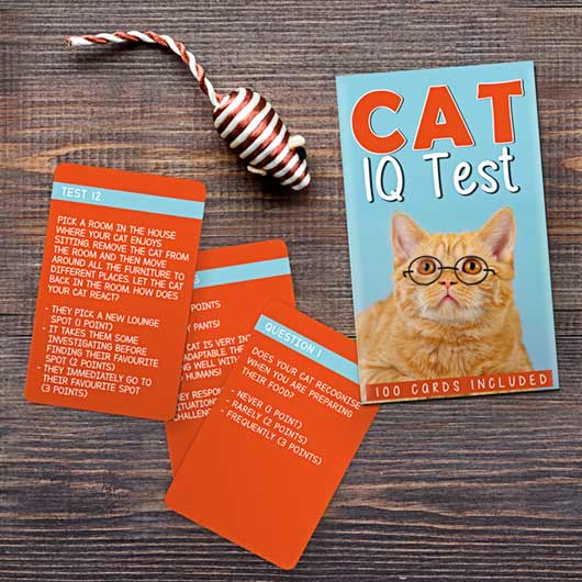 Gift Republic - Wholesale Card Game - Cat IQ Test2