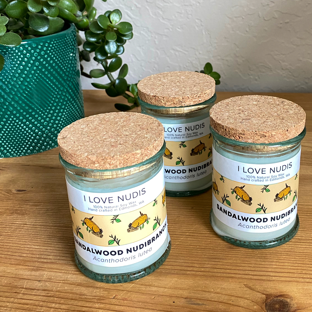 I LOVE NUDIS - Wholesale Jar/Filled Candle - Sandalwood Nudibranch Candle in Recycled Glass2