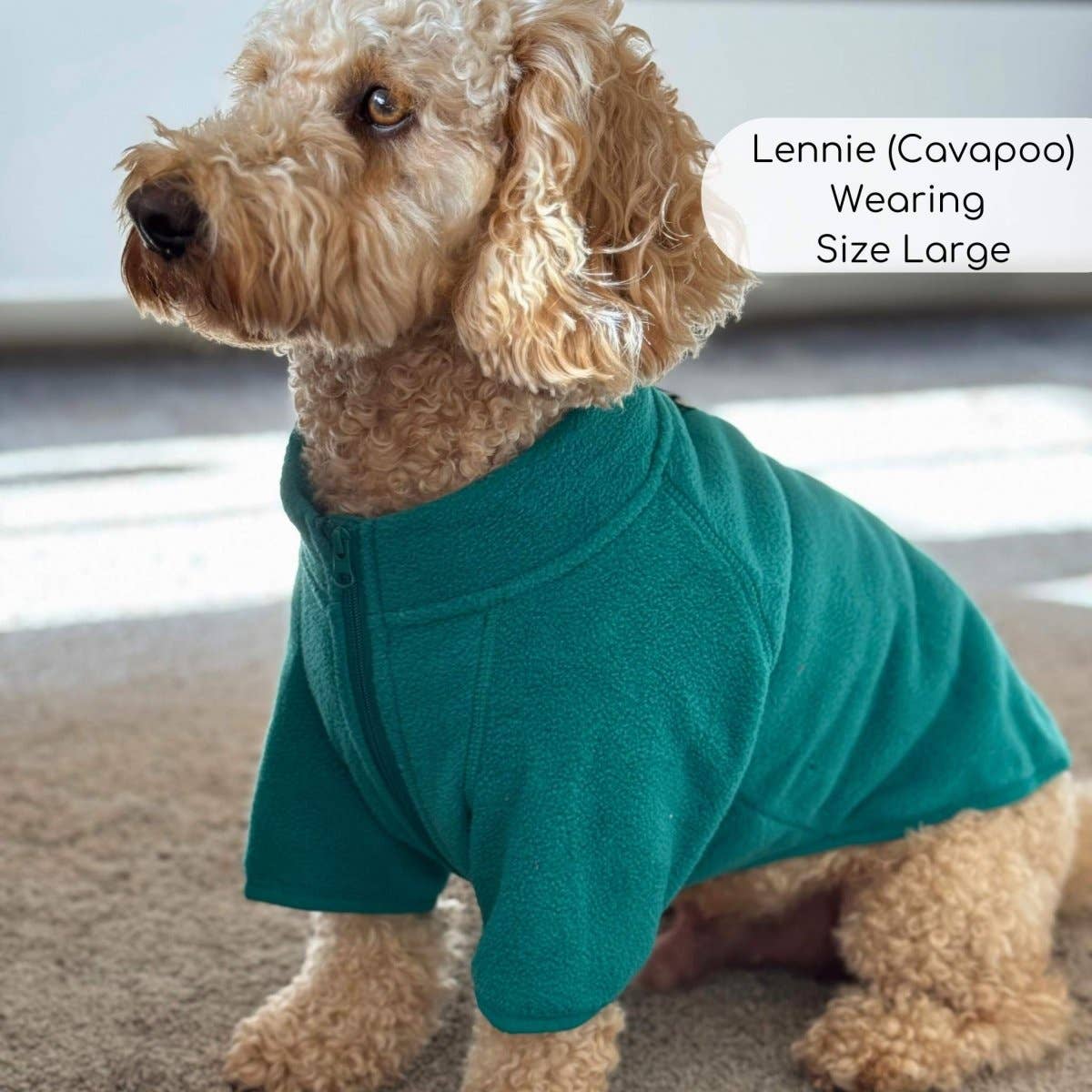 PupClub Couture – wholesale Pet bodysuit – Cat/dog – Dog Fleece Coat - Green0