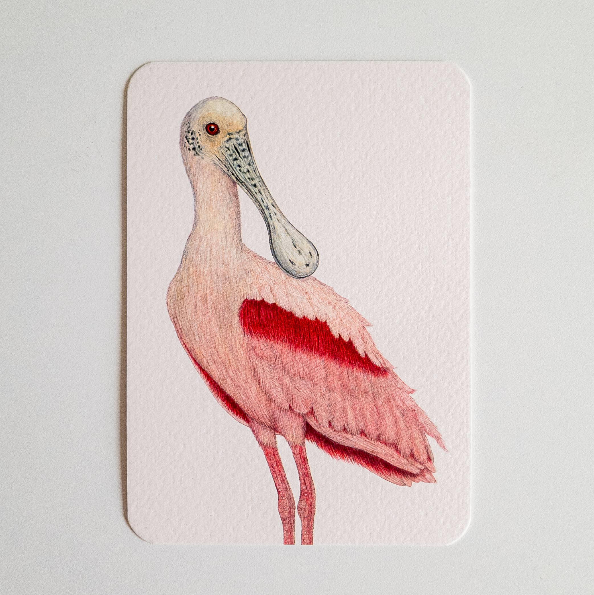 Studio Binck – Engroshandel Postkort – Postkort REGNING0