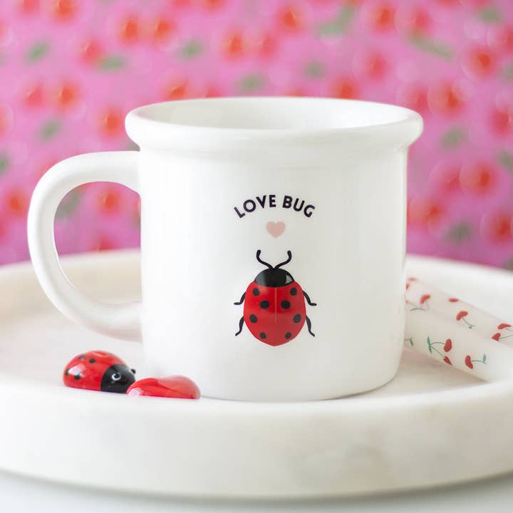 Something Different Wholesale - Vendita all'ingrosso Tazza - Tazza Love Bug per San Valentino con coccinella 3D