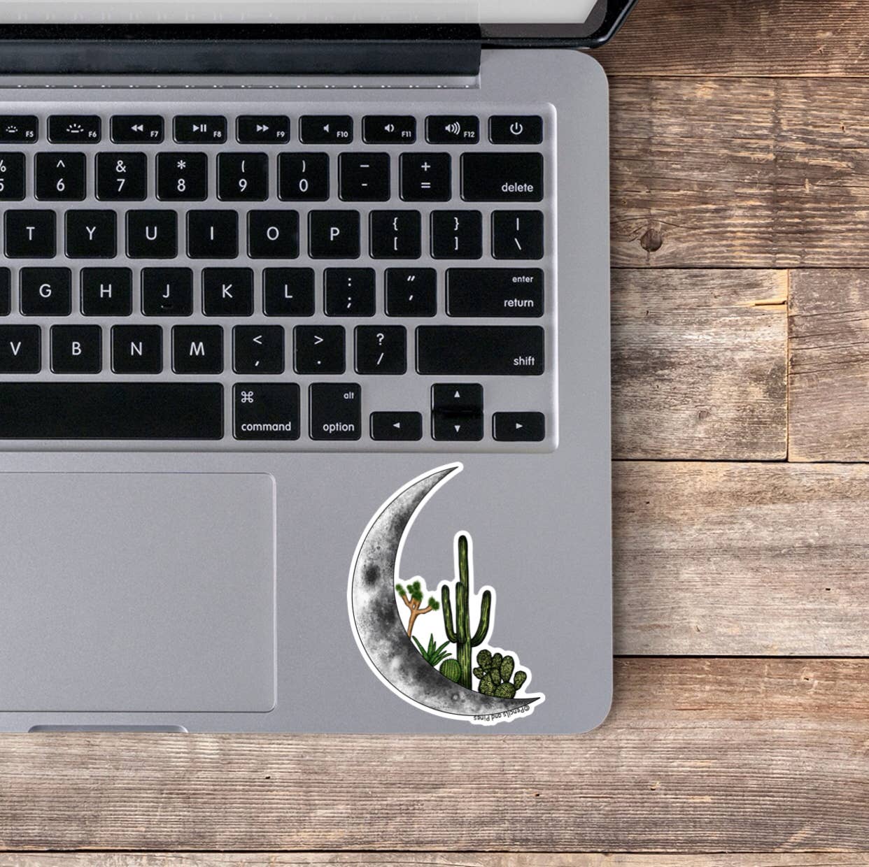Pencils and Pines - Wholesale Sticker - Cactus Moon Waterproof Sticker1