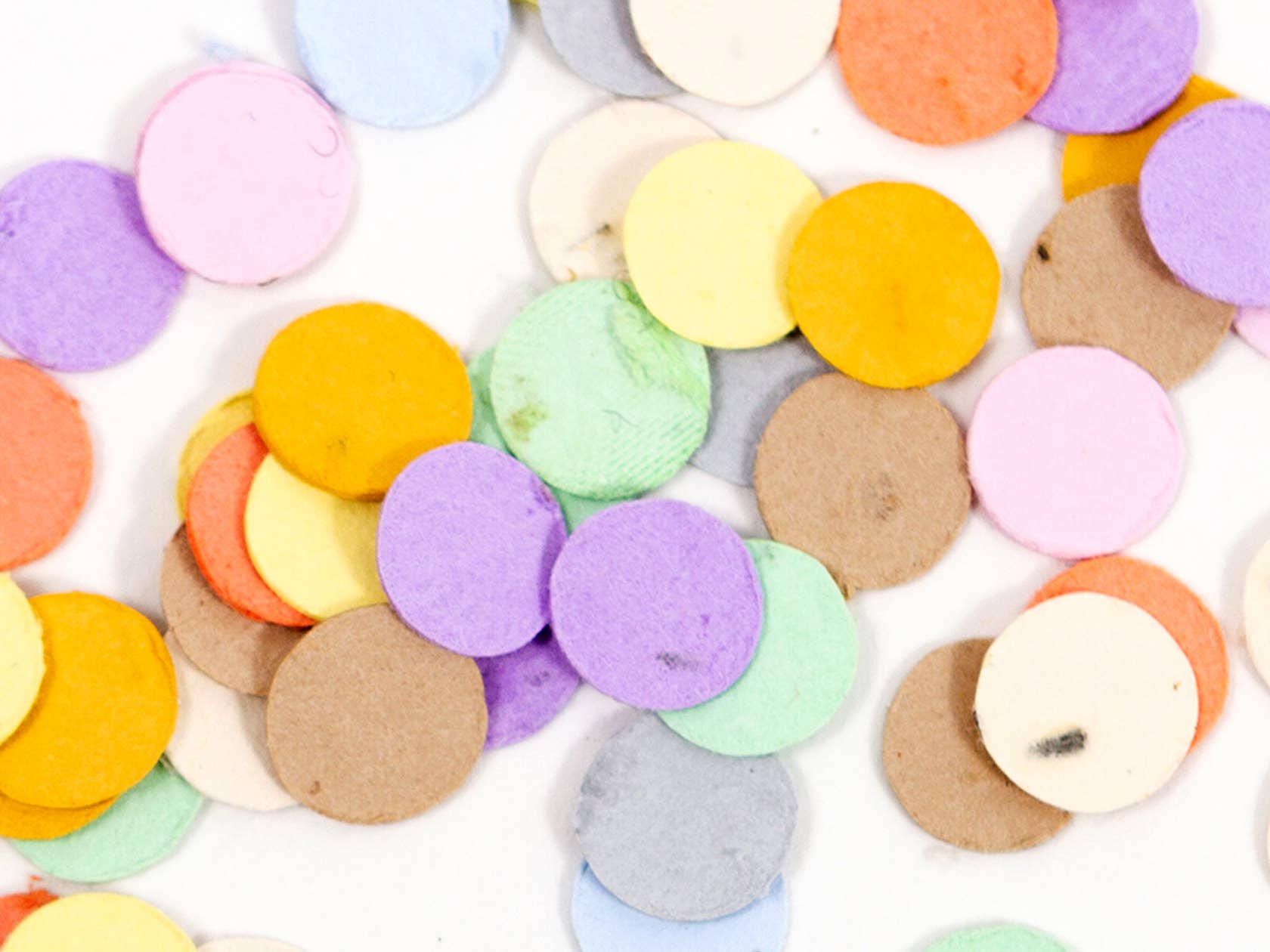 Studio 82° - Vendita all'ingrosso Coriandoli - Confetti Mini di Semi di Fiori Selvatici - Arcobaleno1