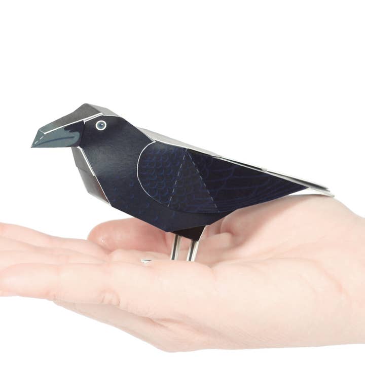 Raven Postcard for wholesale by pukaca