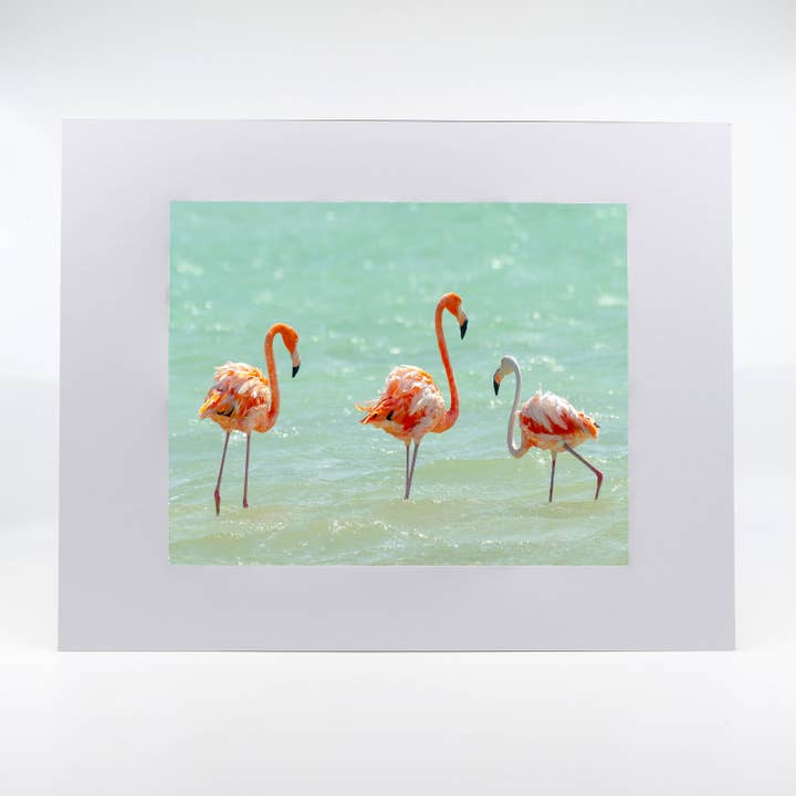 Artwork-Flamingo 10 for wholesale by Mike Ring Photography