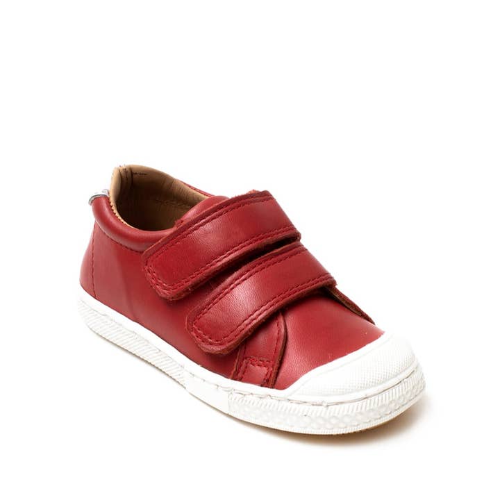 Clayton 5794 Savana Rossa per la vendita all'ingrosso da parte di Petasil