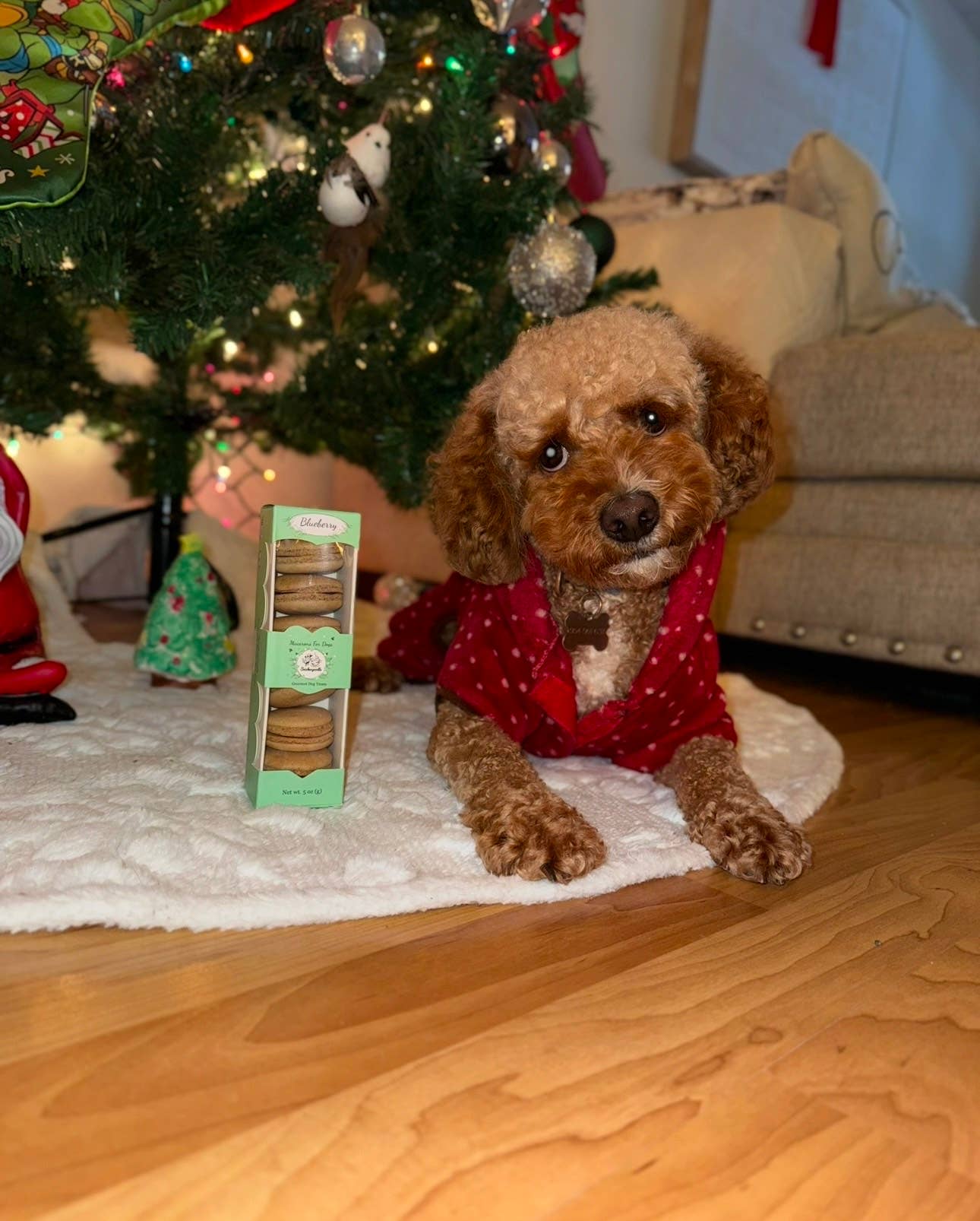 Snickerpoodle - Wholesale Pet Treats - Dog - Dog Treats-Macarons-Treats for Dog-Snacks for Dog-Dog Food14