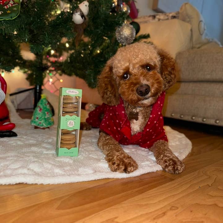 Snickerpoodle - Wholesale Pet Treats - Dog - Dog Treats-Macarons-Treats for Dog-Snacks for Dog-Dog Food14