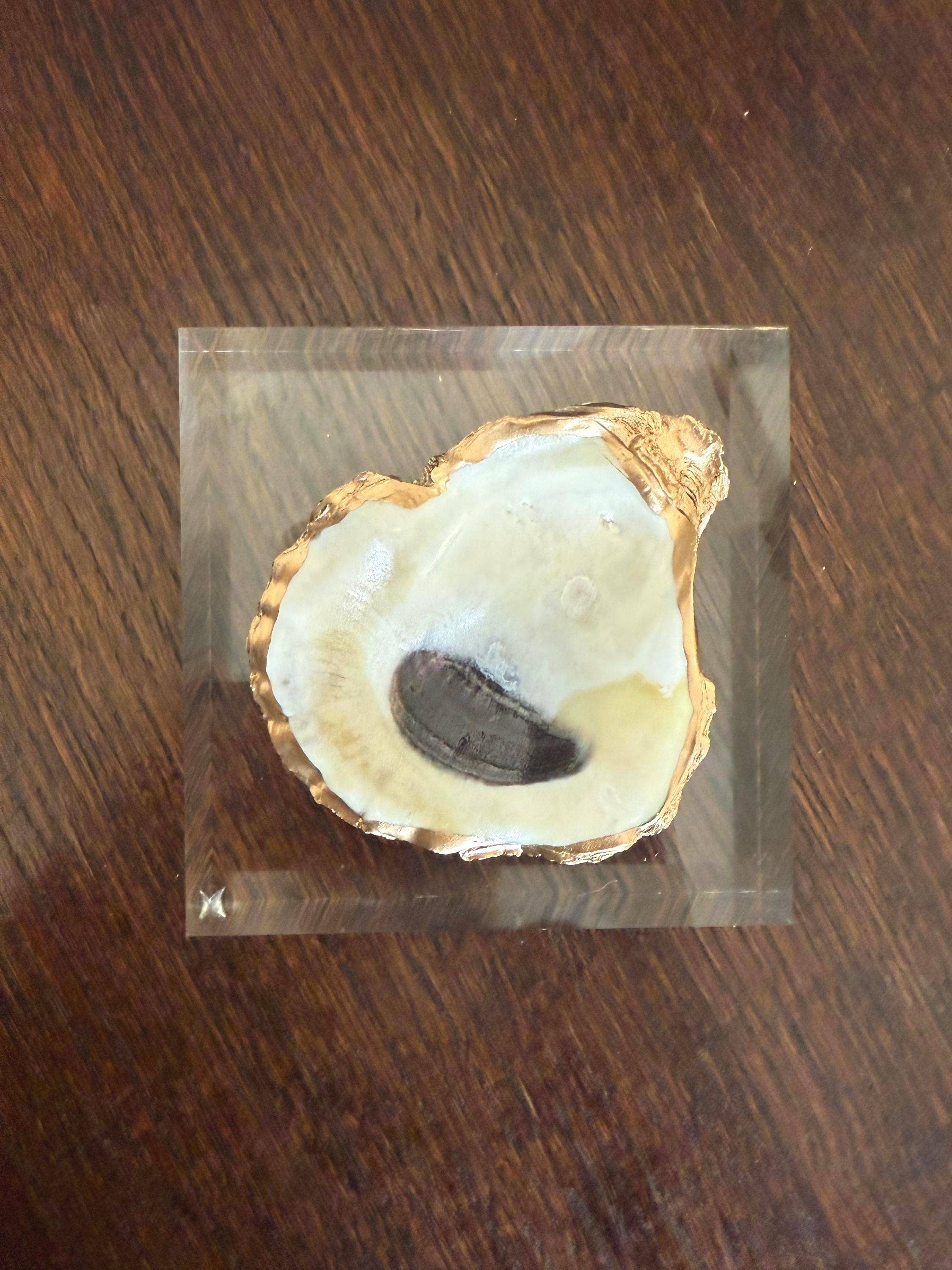 The Ornate Oyster - Wholesale Decorative Tabletop Object - Oyster Shell Acrylic Block Paperweight Art1