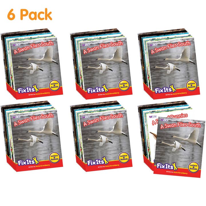 Fix Its Suffissi Saggistica Fase 6 - confezione da 6 per la vendita all'ingrosso da parte di Junior Learning Inc.