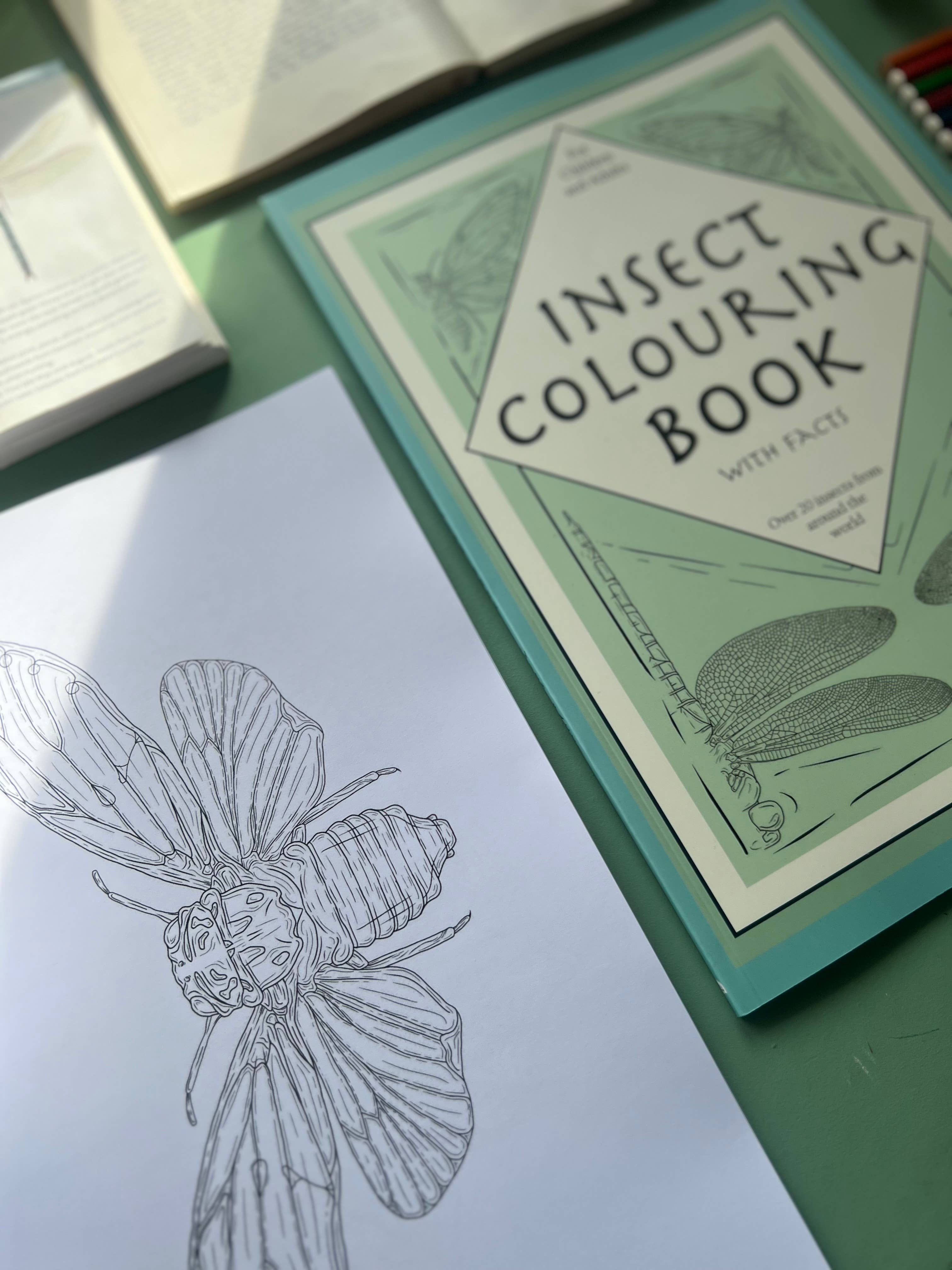 Tansy Moore - Wholesale Coloring & Activity Book - Adult - Factual Insect Colouring Book, Entomology/Wildlife Gift3