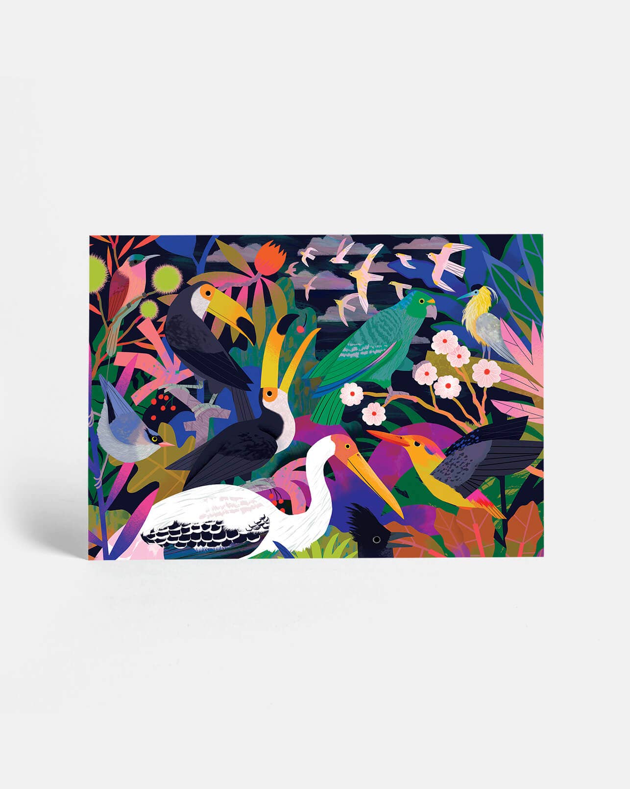 Sunny Beast - Venta al por mayor Juego de postales - 20 postales | Set en caja10