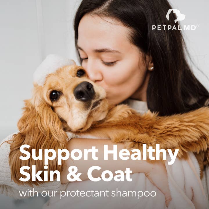 Petpal - Wholesale Pet shampoo – Dog - Pet&PalMD Chlorhexidine Shampoo for Dogs & Cats - 16oz/473mL5