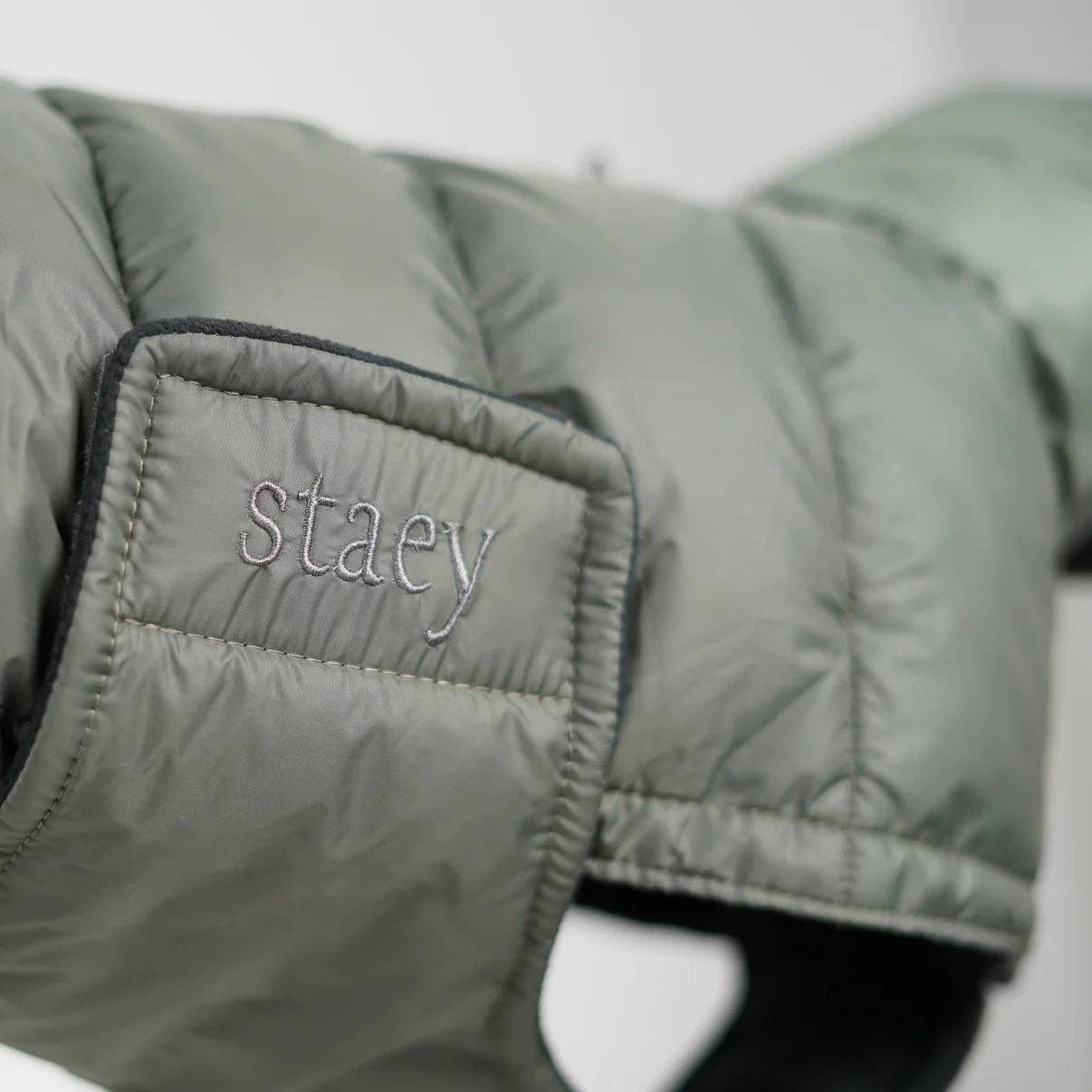 Staey - Wholesale Pet Jacket - Dog - Nora Dog Coat | Moss Green3