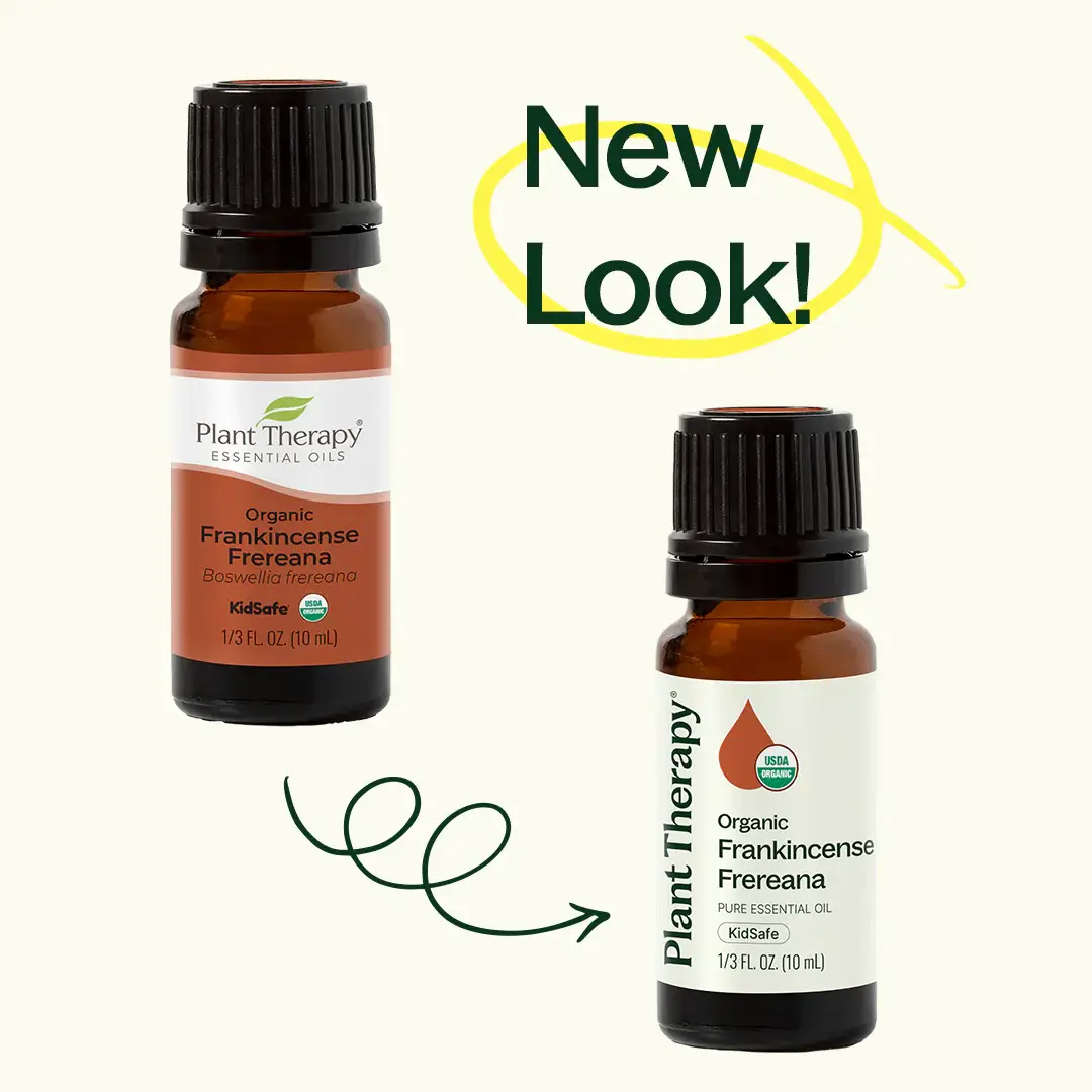 Plant Therapy - Wholesale Essential Oil - Organic Frankincense Frereana Essential Oil 10 mL2