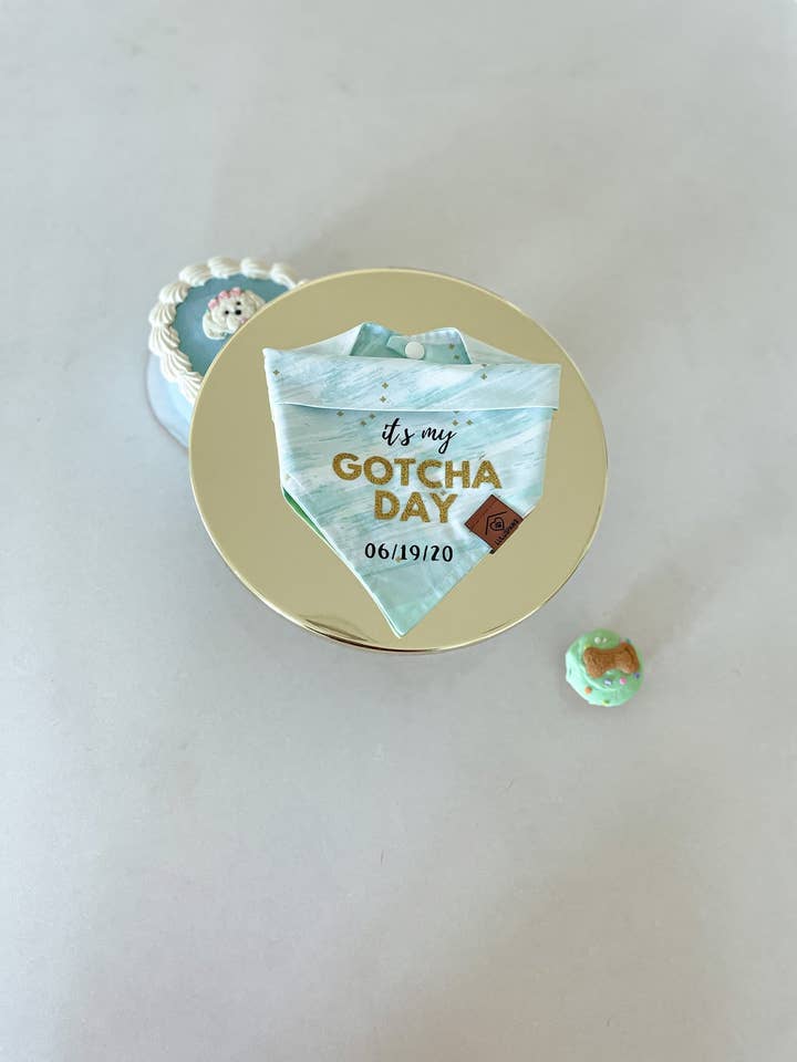 It's my gotcha day for wholesale by LULUS PAWS