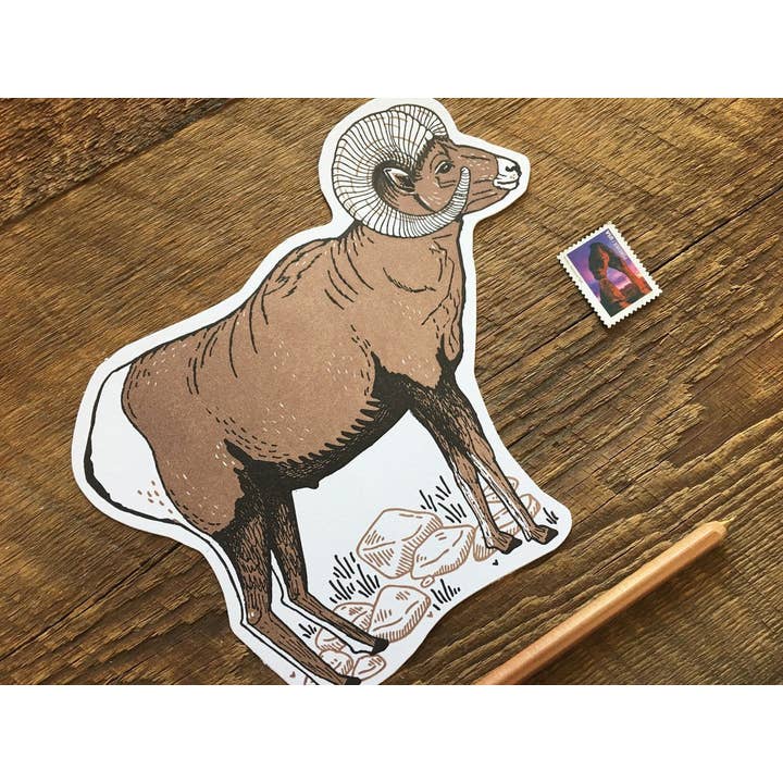 Noteworthy Paper & Press - Wholesale Postcard - Bighorn Sheep Postcard2