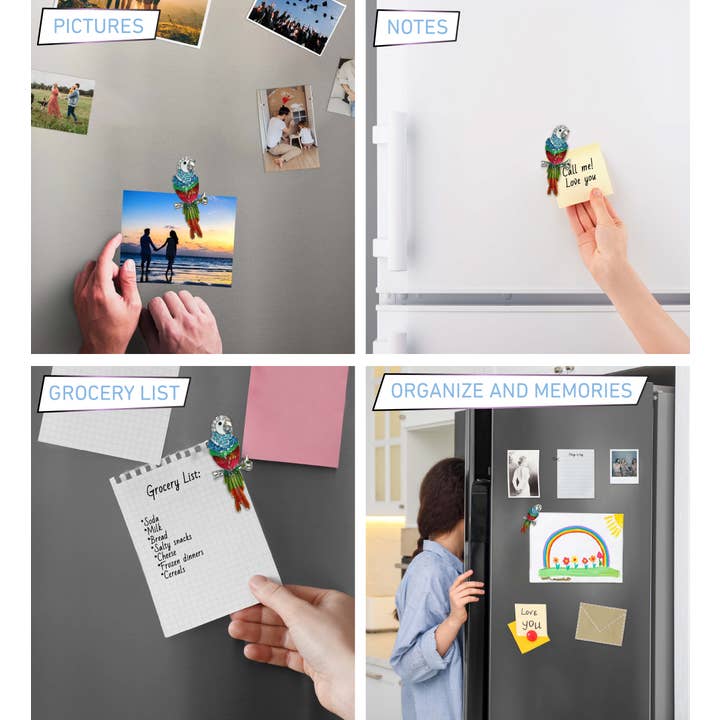 Cota Global - Wholesale Magnet - Sparkling Magnets - Parrot3