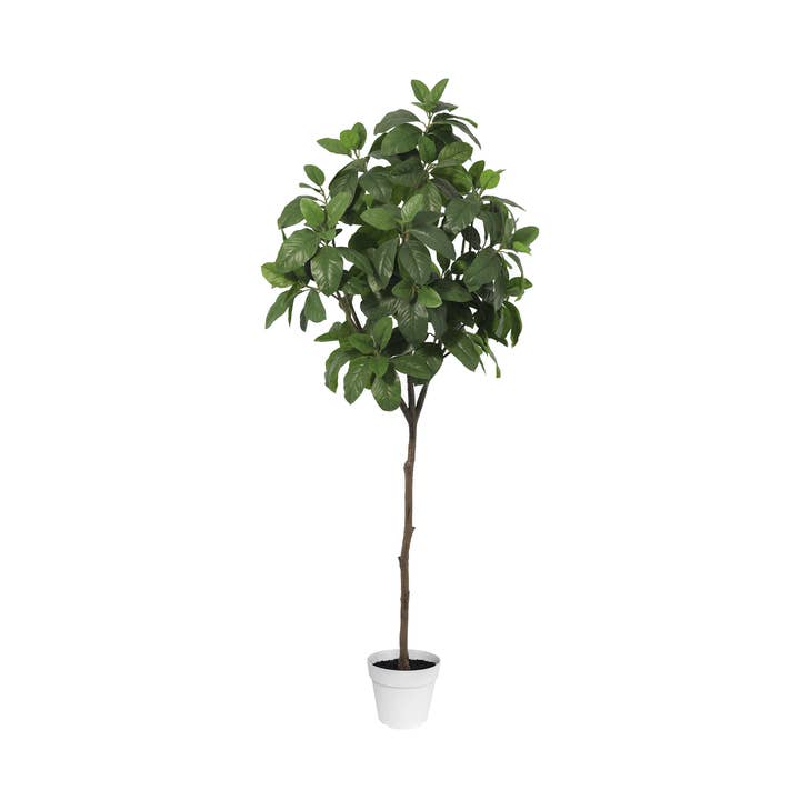 Algreen - Wholesale Artificial Plant - 74" Faux Magnolia Tree (8.25"pot; 73.7" x 73.7"H)0