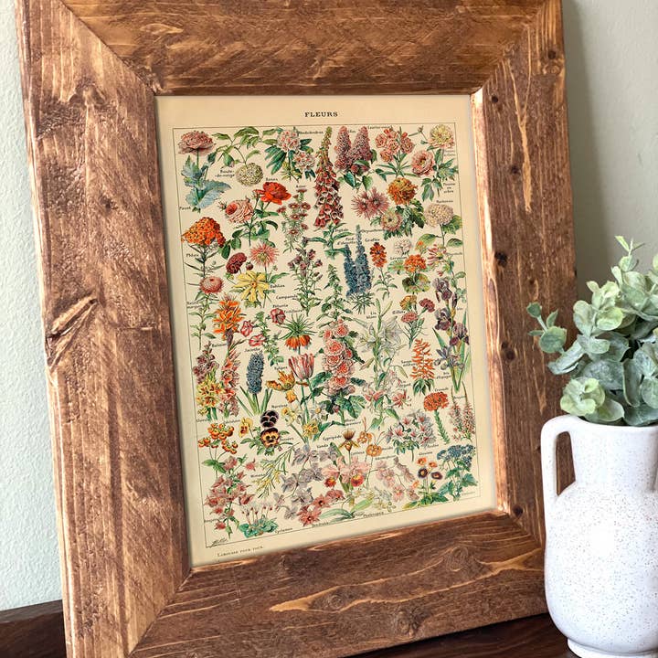 Swinford Designs - Wholesale Art Print - Fleurs Vintage Flower Chart - Choose Frame Size & Color