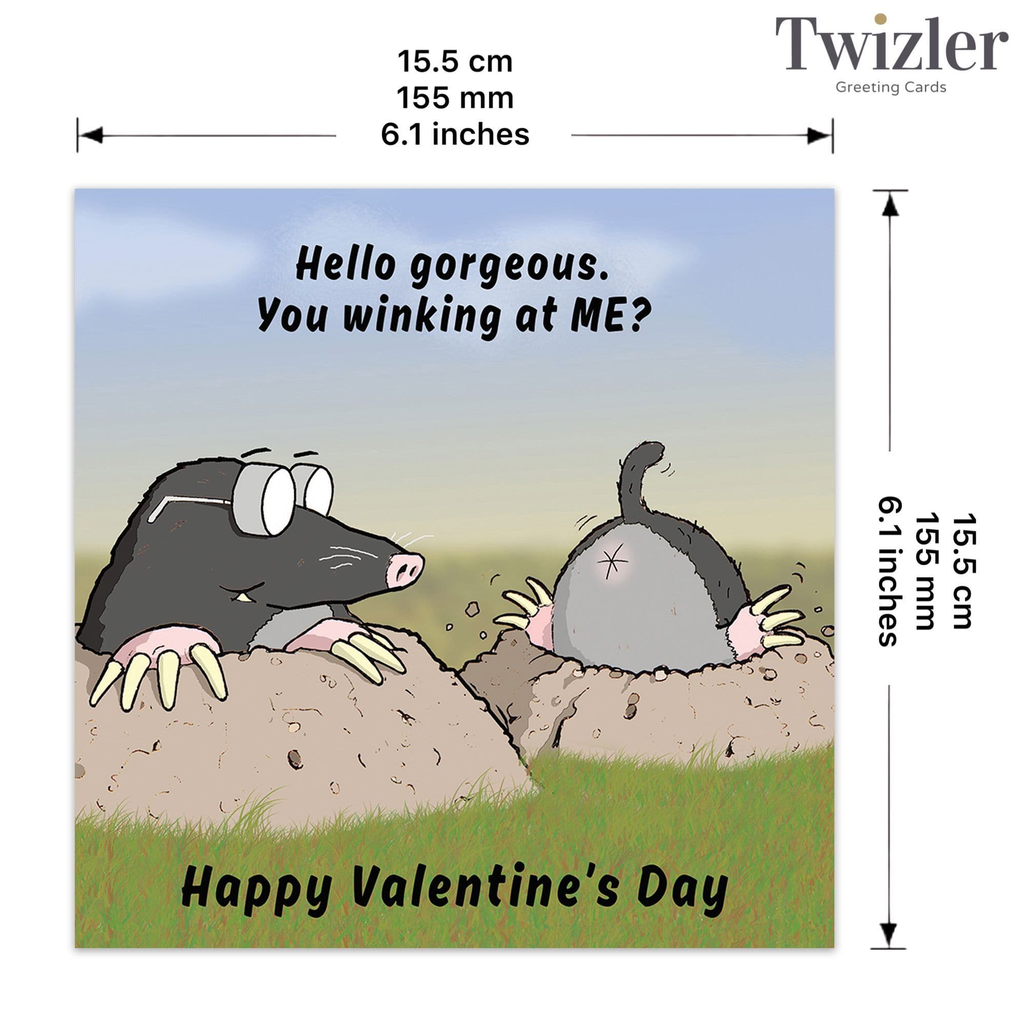 Twizler Ltd – wholesale Valentine's Day card – Winking At Me Funny Valentines Day Card2