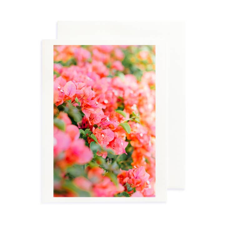 Bougainvillea Wenskaart voor wholesale door Sea Light Print Shop