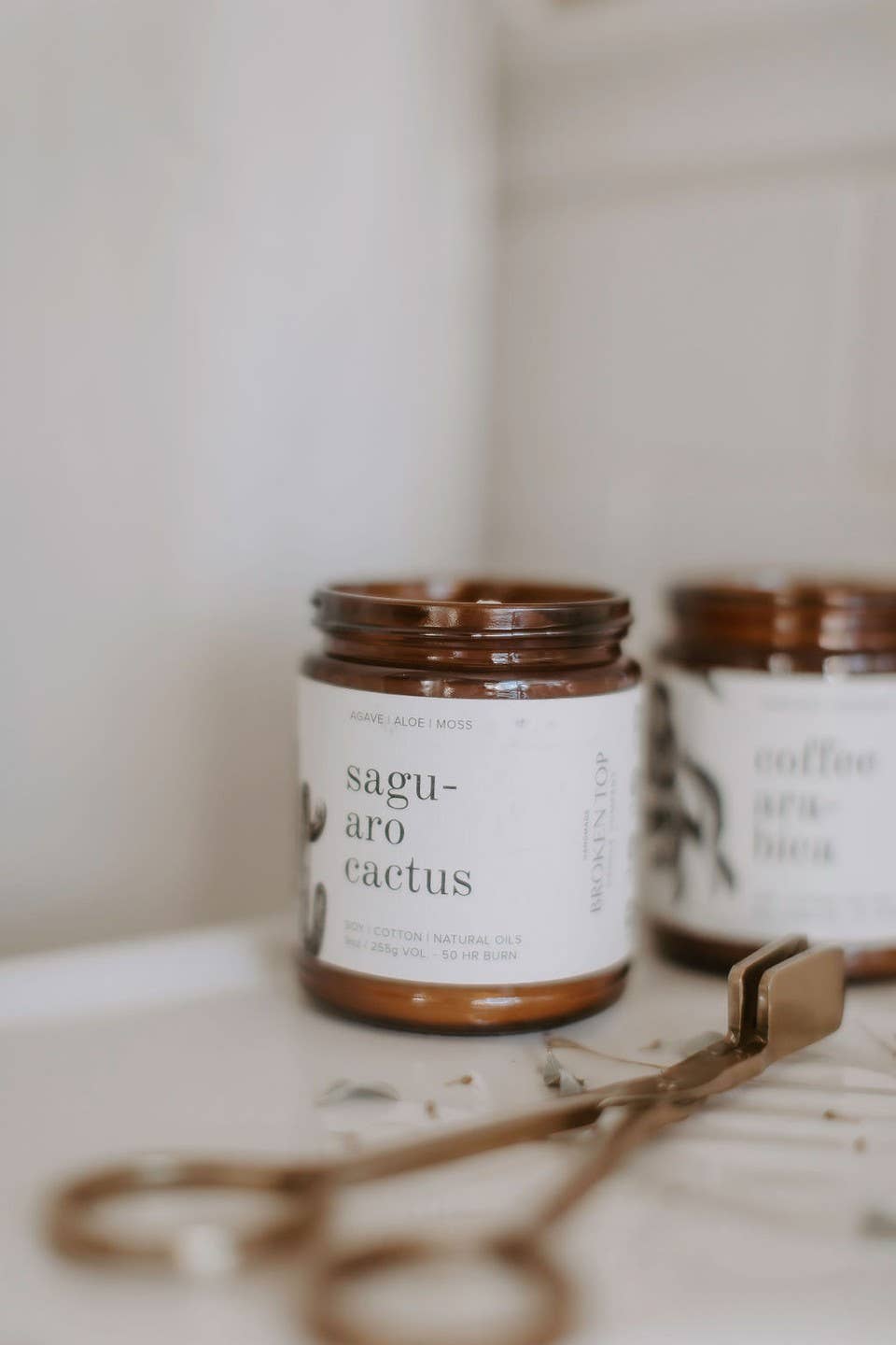 Broken Top Brands - Wholesale Jar/Filled Candle - Saguaro Cactus 9oz Soy Candle4