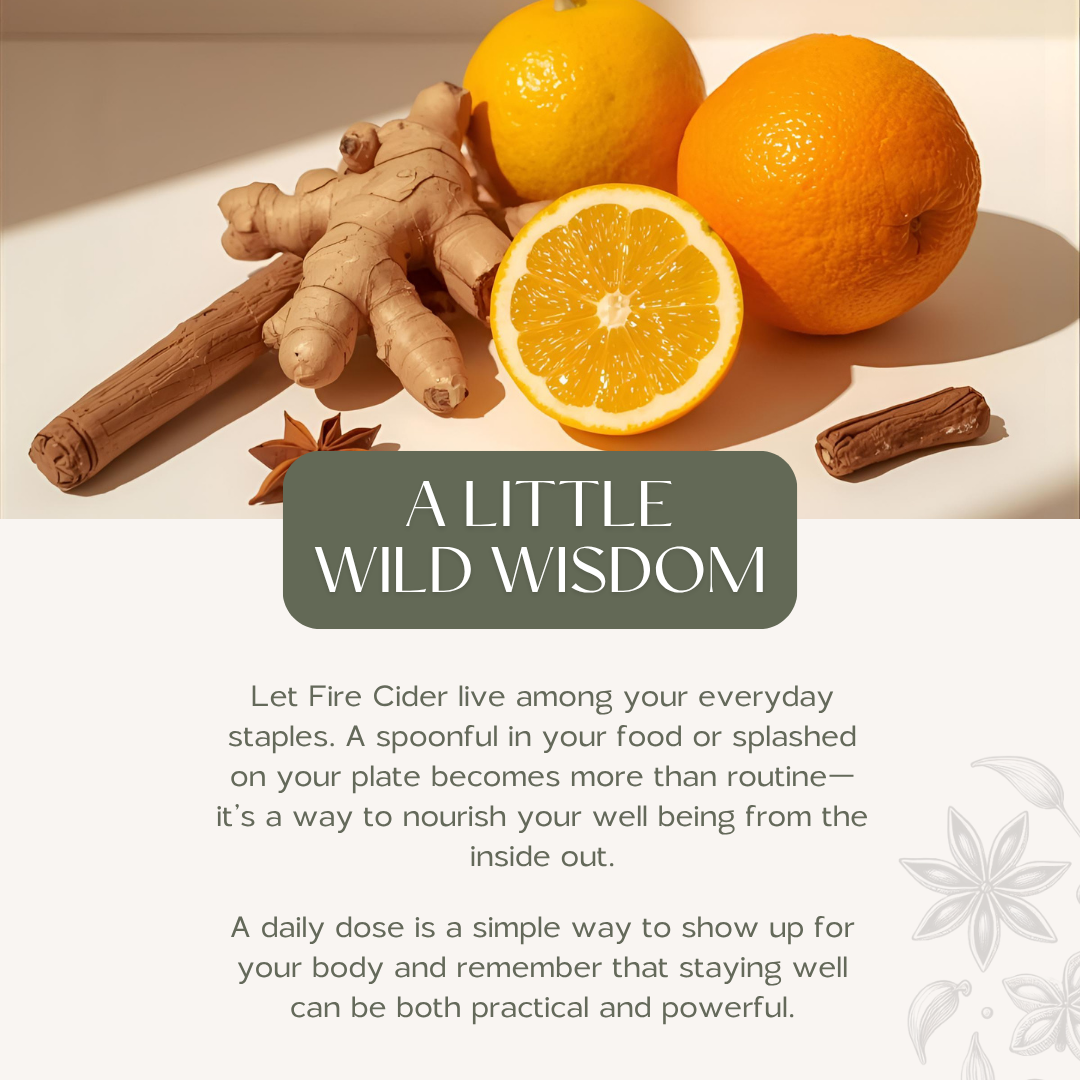 Wild Woman Herbal Apothecary - Venta al por mayor Sirope - Sidra de Fuego | Inmunidad, Digestión, Circulación | Resfriado y Gripe5