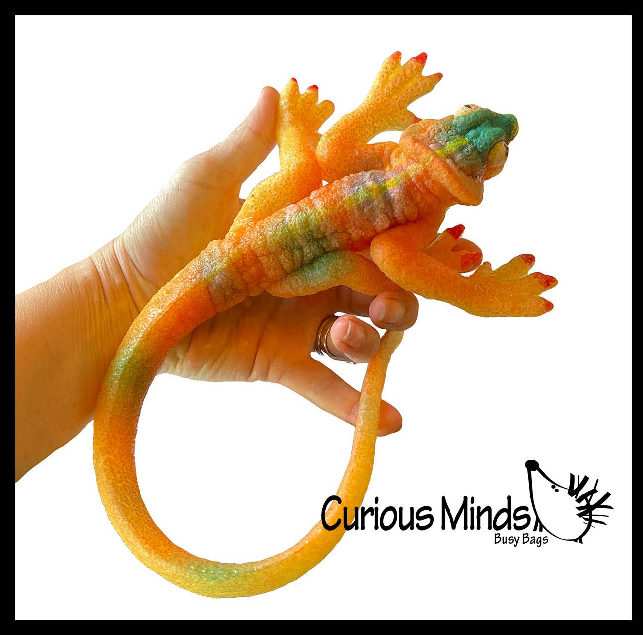 Curious Minds Toys - Vente Fidget/jouet anti-stress – enfant - 1 jumbo : faites pousser un lézard dans l'eau. Ajoutez de l'eau et il grandit10