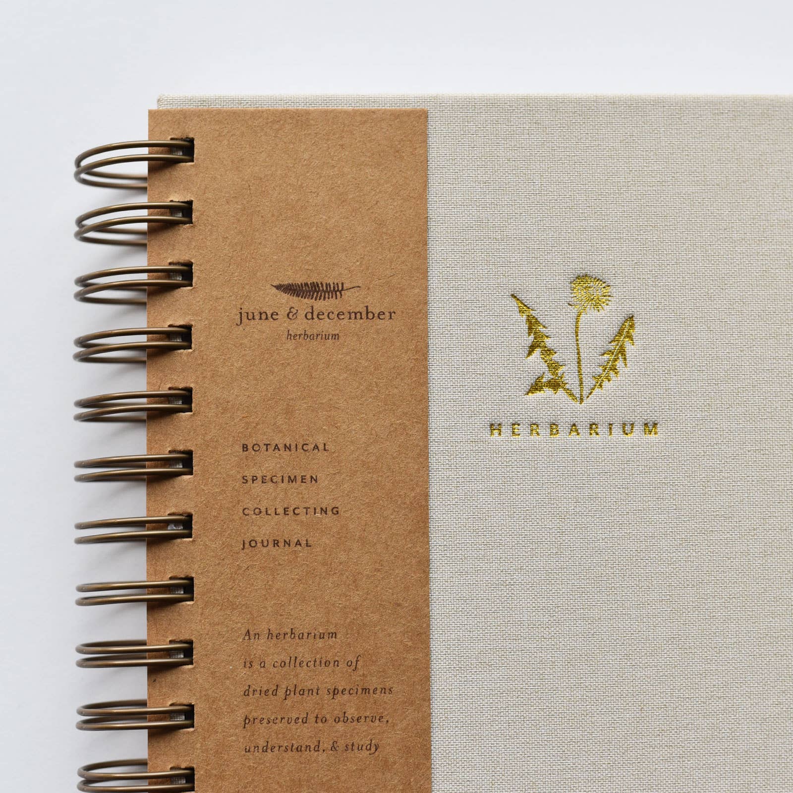 June & December - Wholesale Tuingereedschap - Dandelion Herbarium Journal / Mushroom Gill Cream2