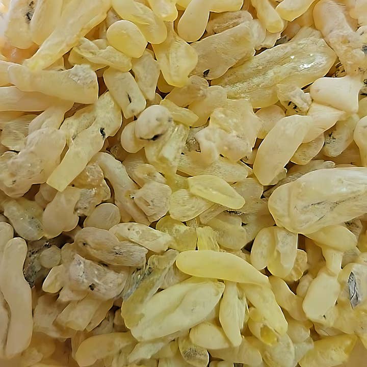 Sandarac Incense in Grains 500g for wholesale by WLM