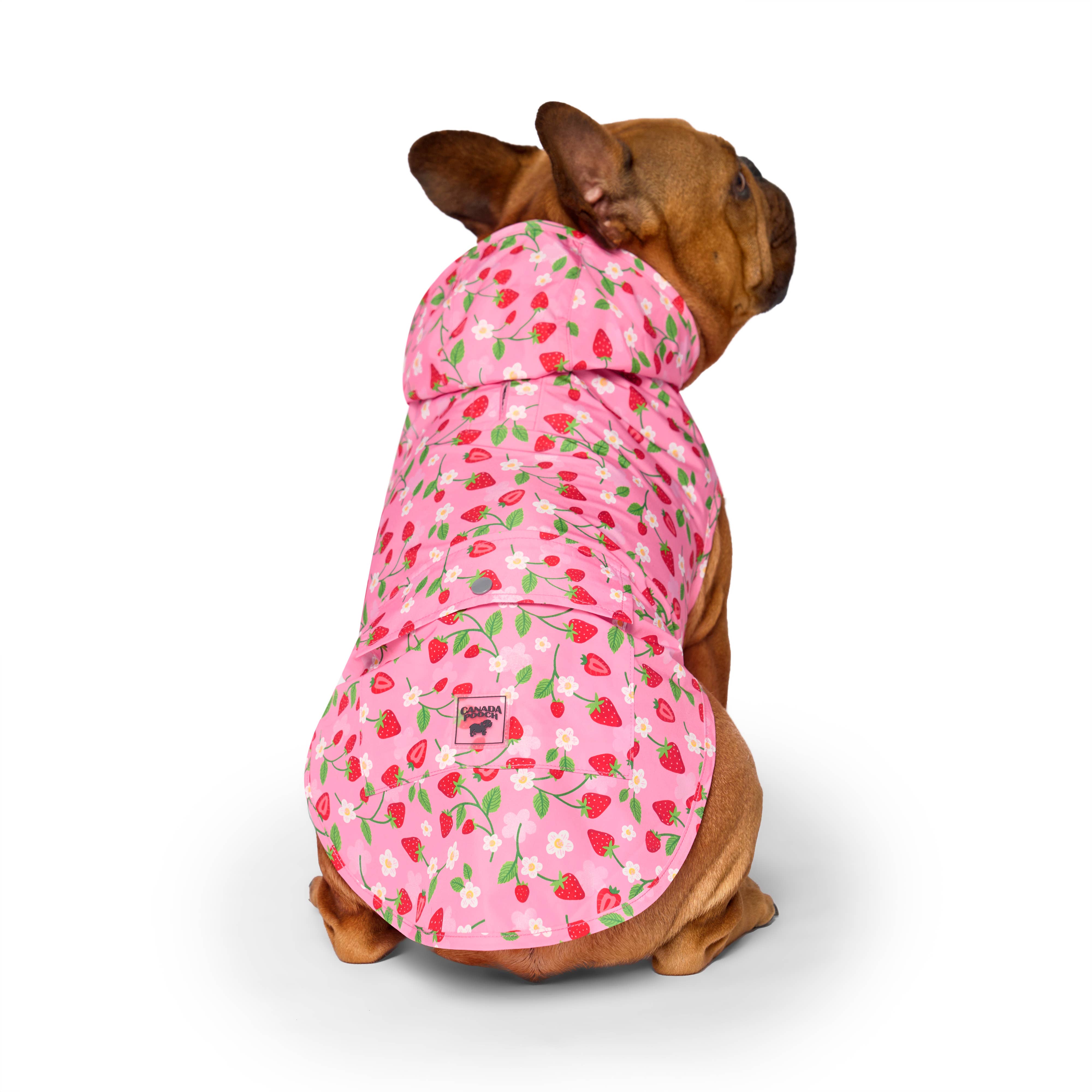 Canada Pooch - Wholesale Pet Poncho - Dog - Pick Me Poncho (New Prints)- Dog raincoat10