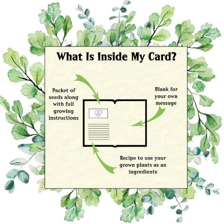 Seeds with Love - Wholesale Recipe Card - Seed & Recipe Card - Ultimate Mojito Cocktail