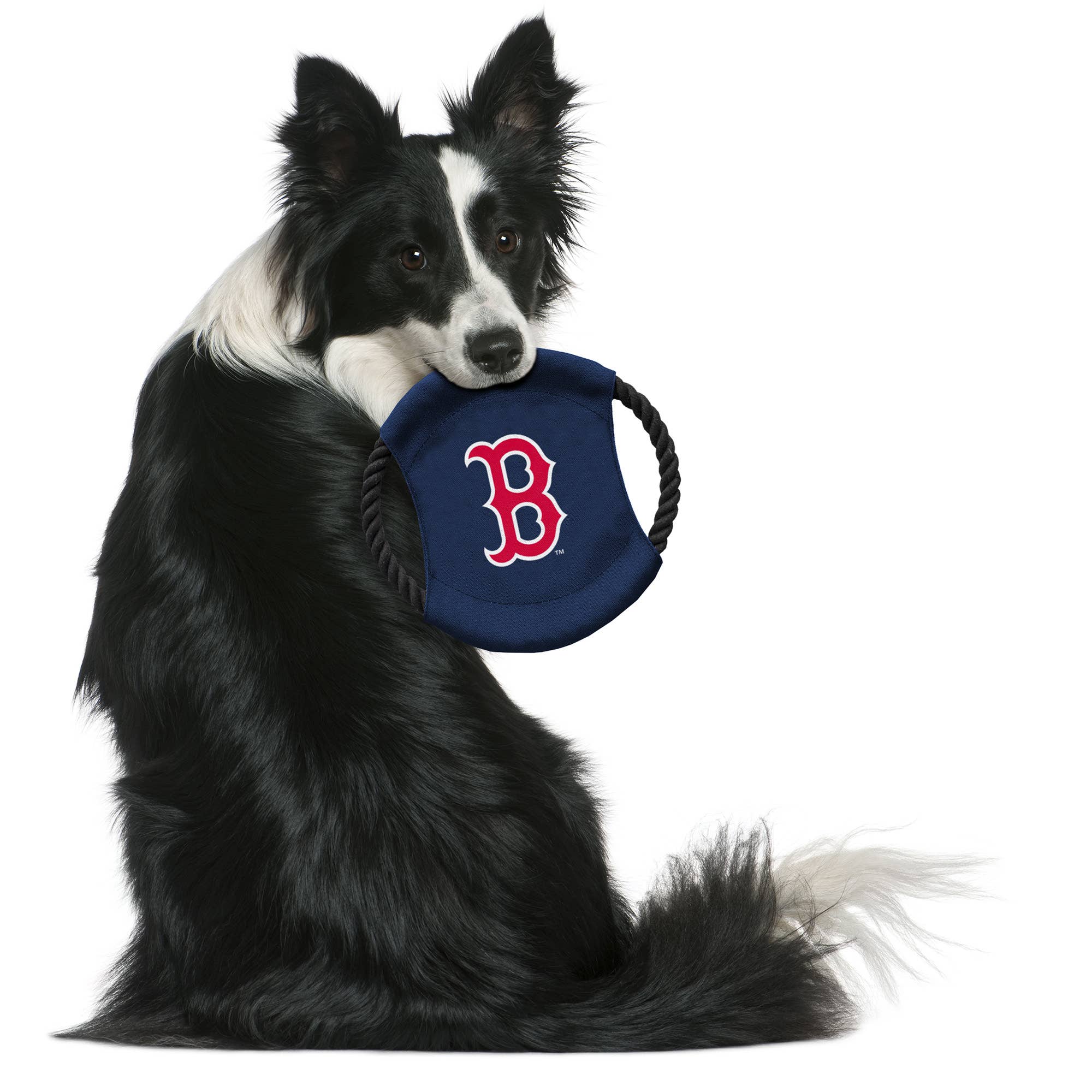 Little Earth Productions - Wholesale Pet Toy - Dog - MLB Boston Red Sox Team Flying Disc Pet Toy1