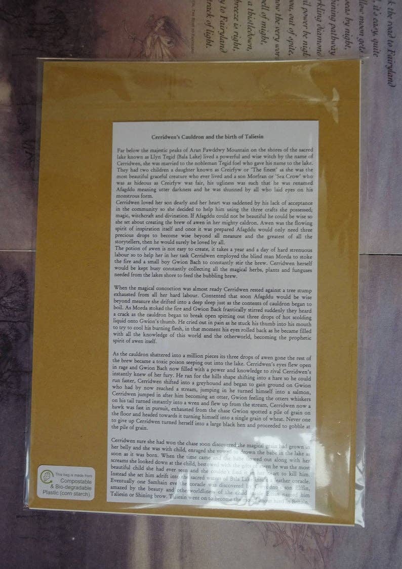 FreeRangeFaeries - Wholesale Art Print - Cerridwen's Spell A4 Signed Art Print2