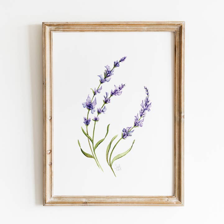 Purple Lavender Watercolor Print for wholesale by Sarah Jane Studio Art