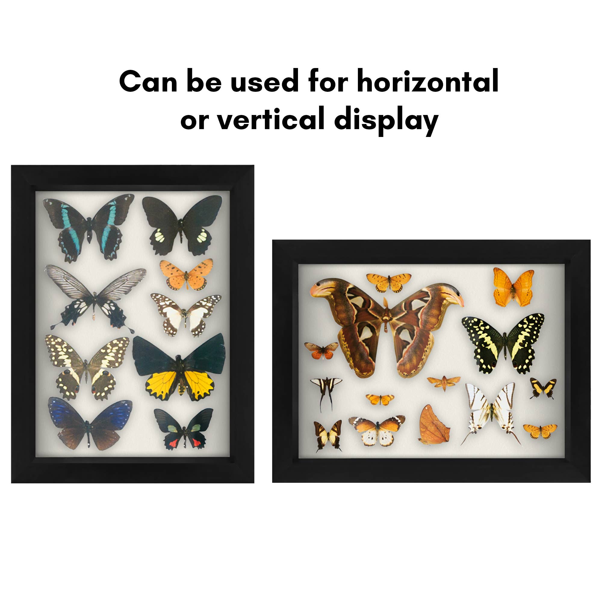 Americanflat - Wholesale Picture Frame - Americanflat Shadow Box Frame with Soft Felt Back48