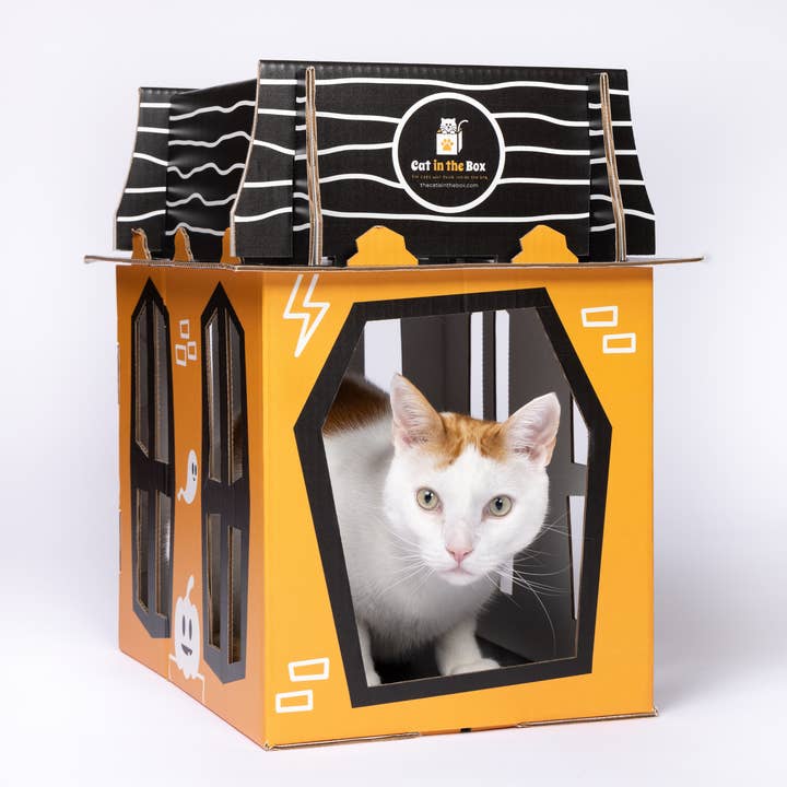Cat in the Box LLC – wholesale Pet scratcher – Cat – Spooky Cat Haunted House - Cardboard Box Playhouse for Cats2