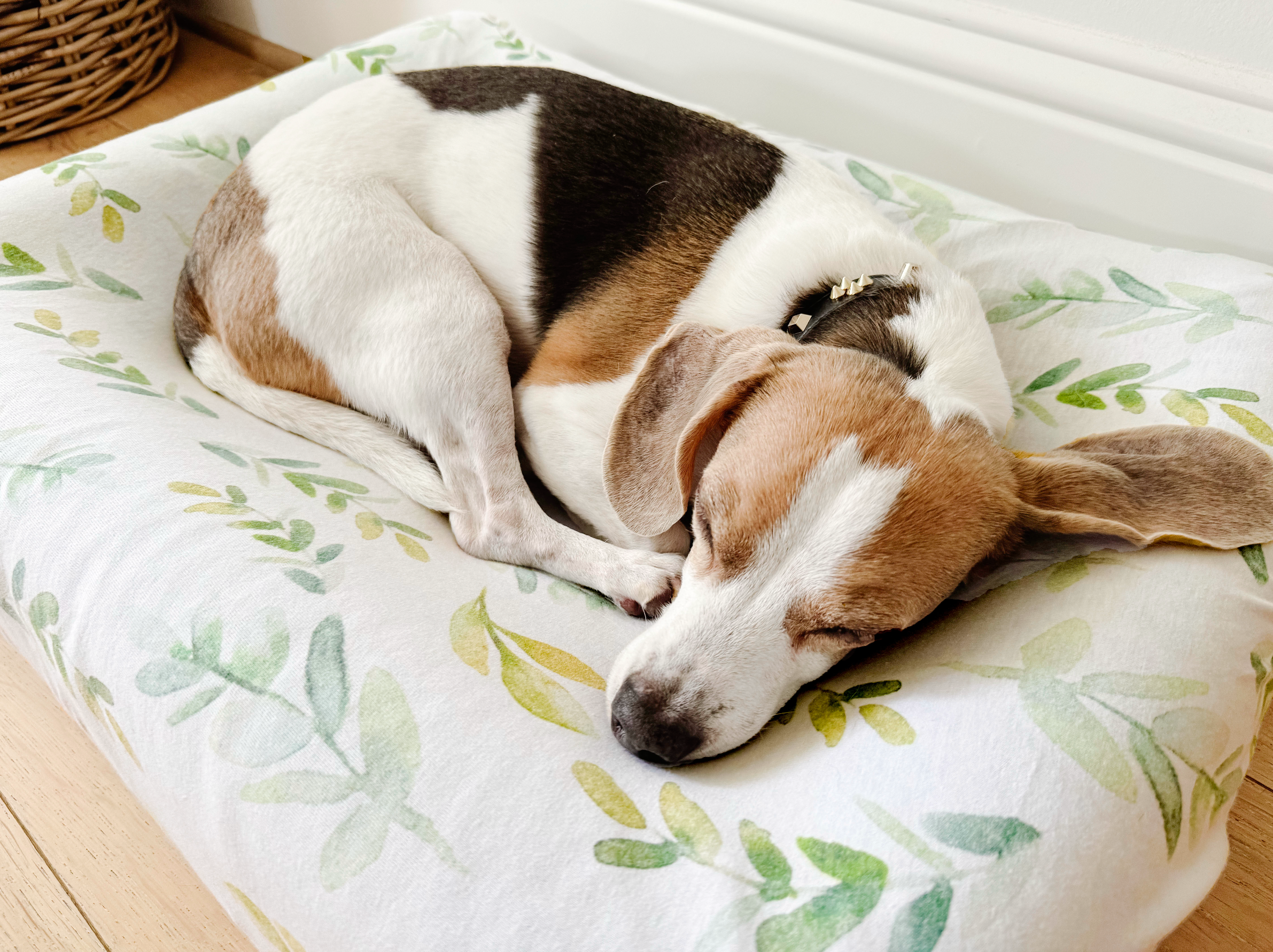 NODNAL Co. – wholesale Husdjursbädd – Hund – Hundbäddöverdrag - Välj ditt tryck10