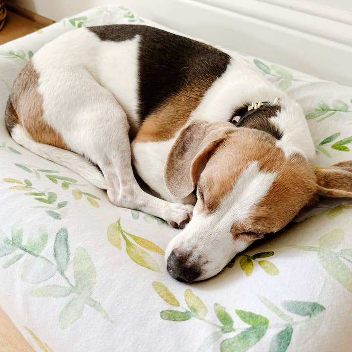 NODNAL Co. - Wholesale Pet Bed - Dog - Dog Bed Cover - Choose Your Print10