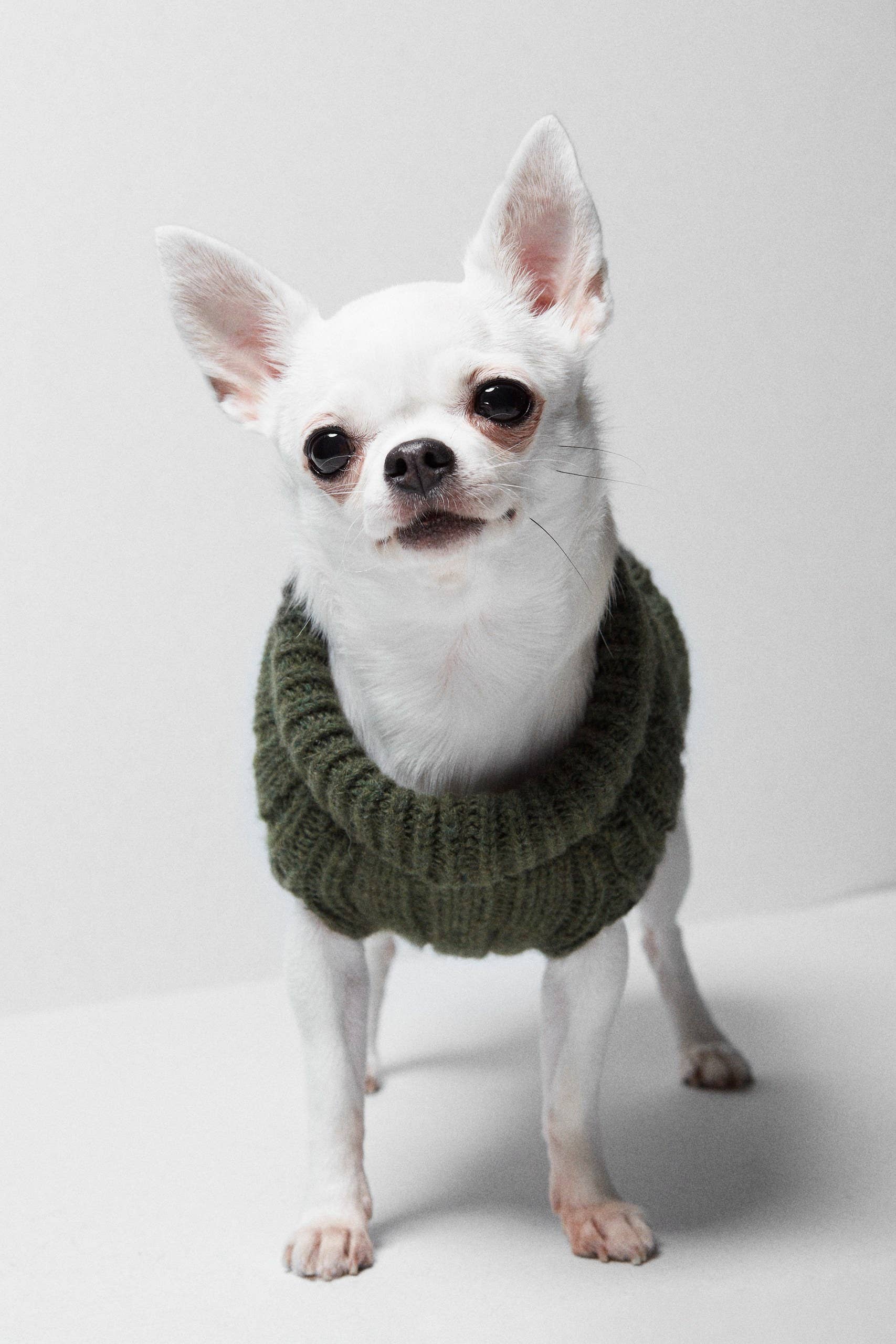 ARISTOPET - Vendita all'ingrosso Maglione - Cani - MAGLIA ASPEN5